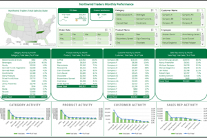 excel-dashboard-creation-preview-1