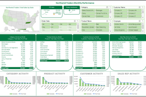 excel-dashboard-creation-preview-1